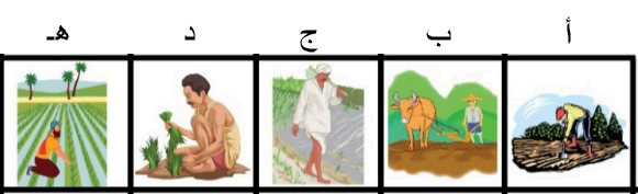 صورة السؤال