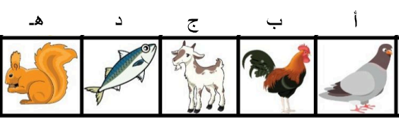 صورة السؤال